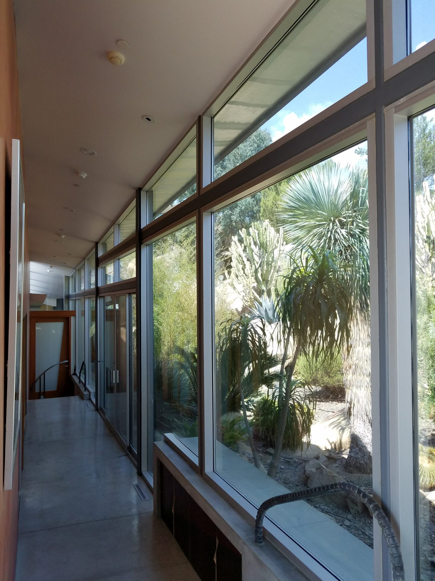 A modern hallway with large floor-to-ceiling windows on the right, allowing natural light to illuminate the space. Outside the windows, a green garden with various types of tall cacti and plants is visible. The ceiling is white and the floor is polished concrete.